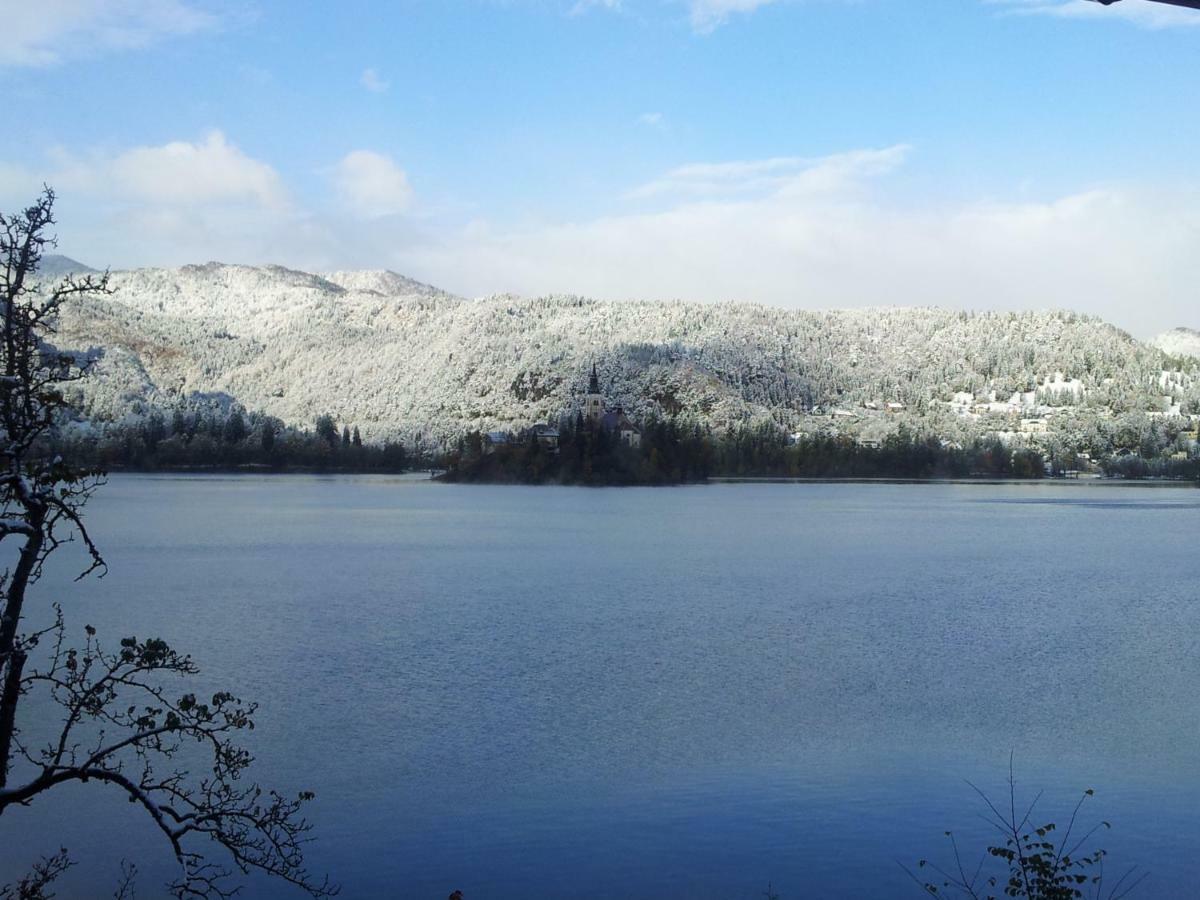 Pletna Lake View Apartment ブレッド エクステリア 写真
